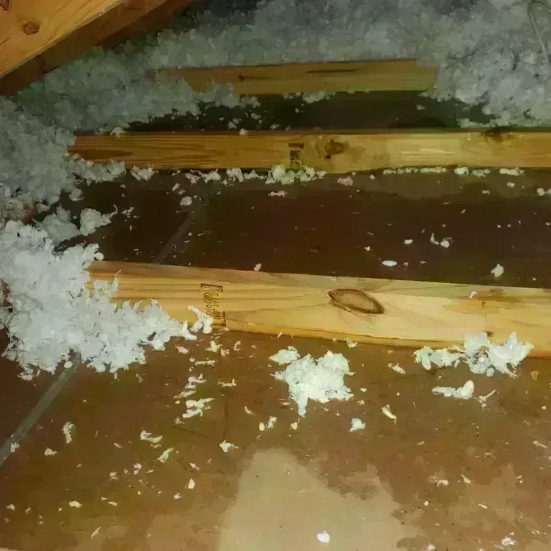 Attic Water Damage in Thomas County, KS