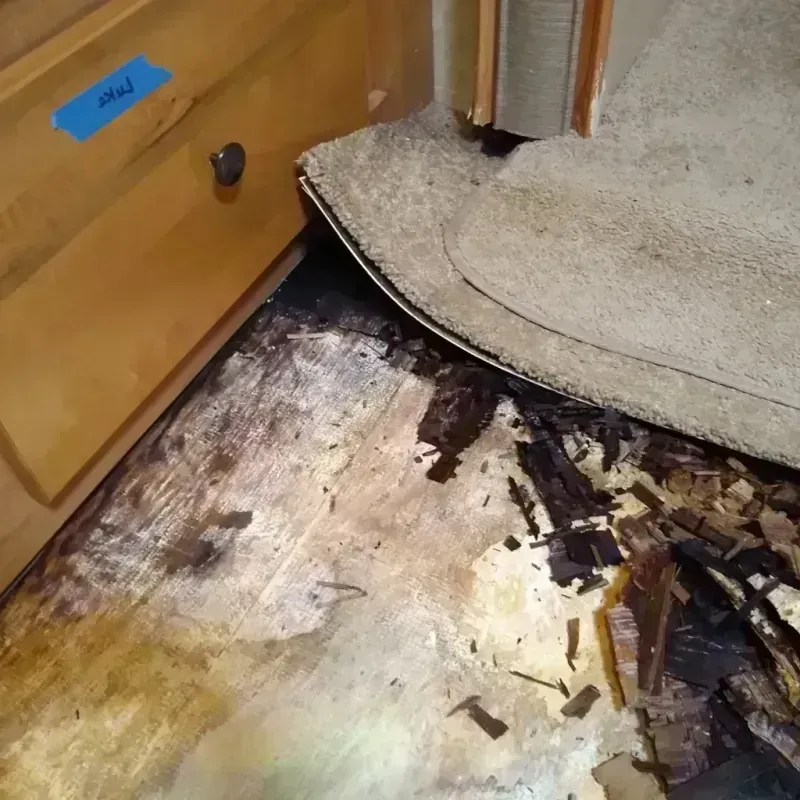 Wood Floor Water Damage in Thomas County, KS